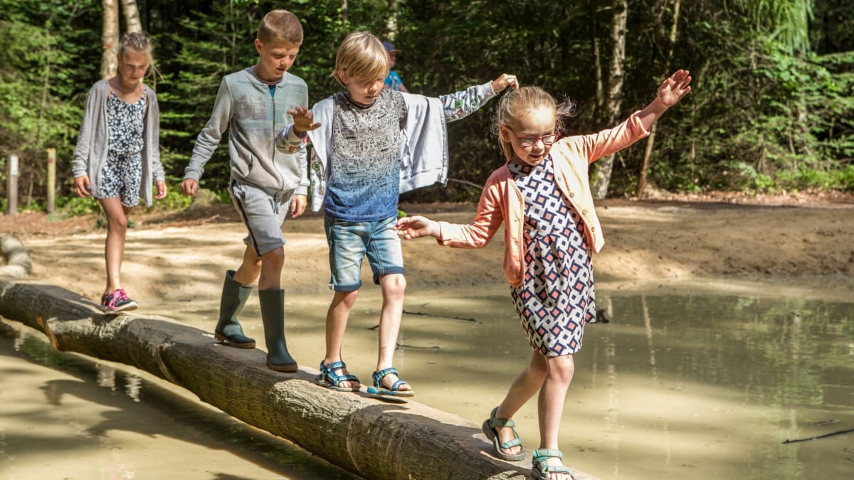 Foto van Speelbos Sallandse Heuvelrug